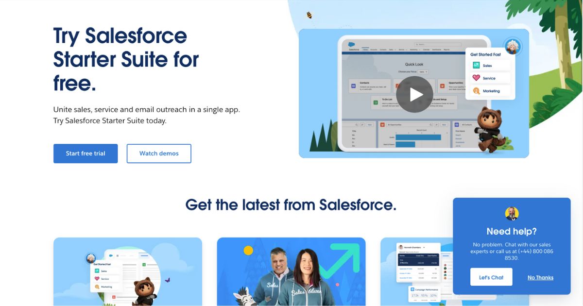 screenshot of salesforce CRM